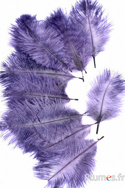 Strauss Bellies - 8-13 cm - flieder-grau